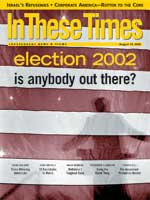 Election 2002: Is Anybody Out There?