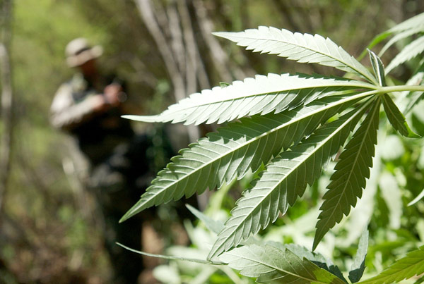 Drug raid