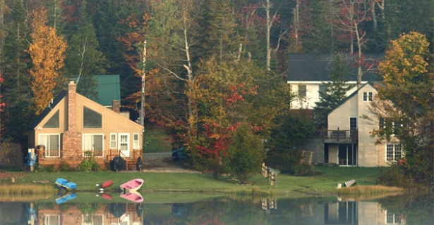 neighborhood of trees