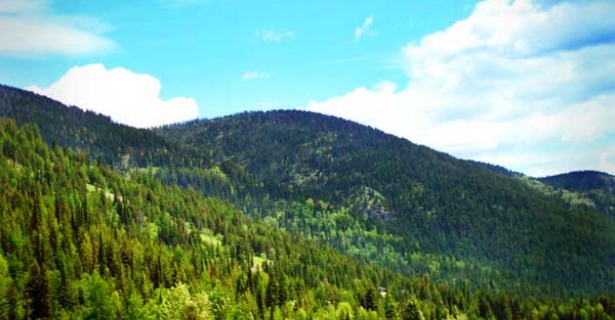 Montana