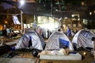 occupy protester
