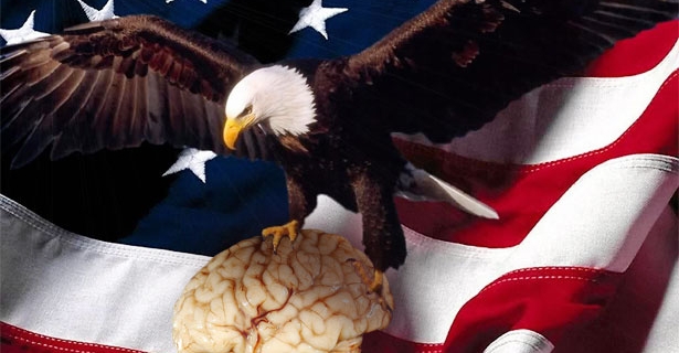 American eagle