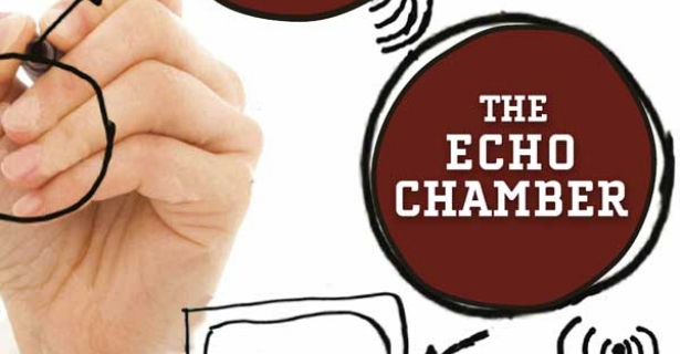Beyond the Echo Chamber book cover