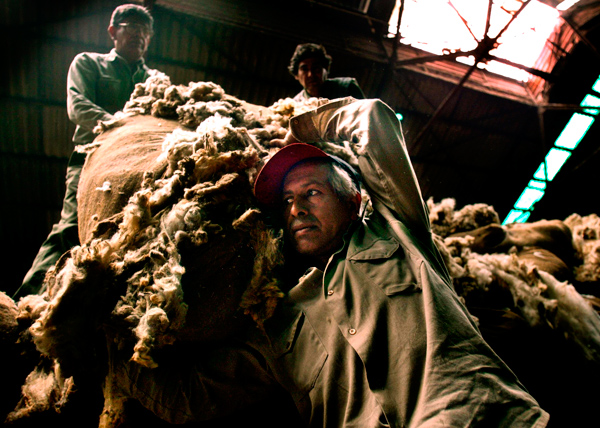 Argentine workers