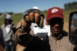 A migrant farm worker from Mexico holds his time card to be scanned while working at Grant Family Farms on September 3, 2010, in Wellington, Colo.   (Photo John Moore/Getty Images)