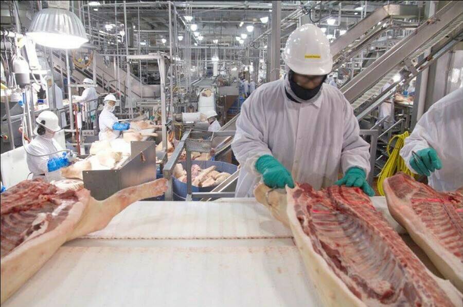 Meat Factory Work is Dangerous in Normal Times. The Same Conditions