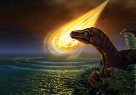 Our Planet is Facing a New Mass Extinction: Can This Book ...
