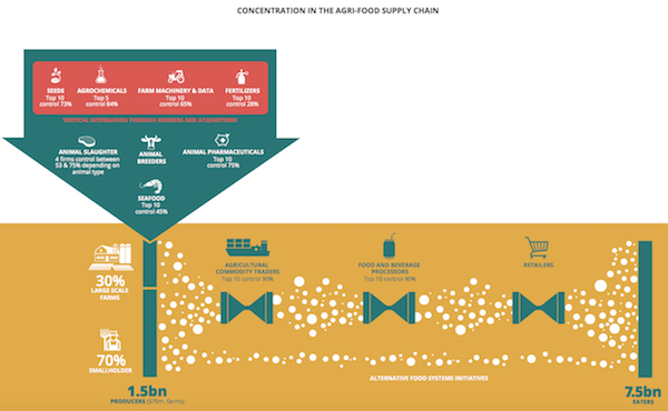 Big report. Food Supply Paradox. Agro food investment. Agri food invest Moldova. Agro food investment Baku.