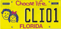 Choose Life florida license plate